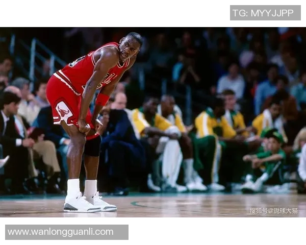 潘玮柏乔丹姚明三位巨星的传奇人生与跨界合作的精彩瞬间